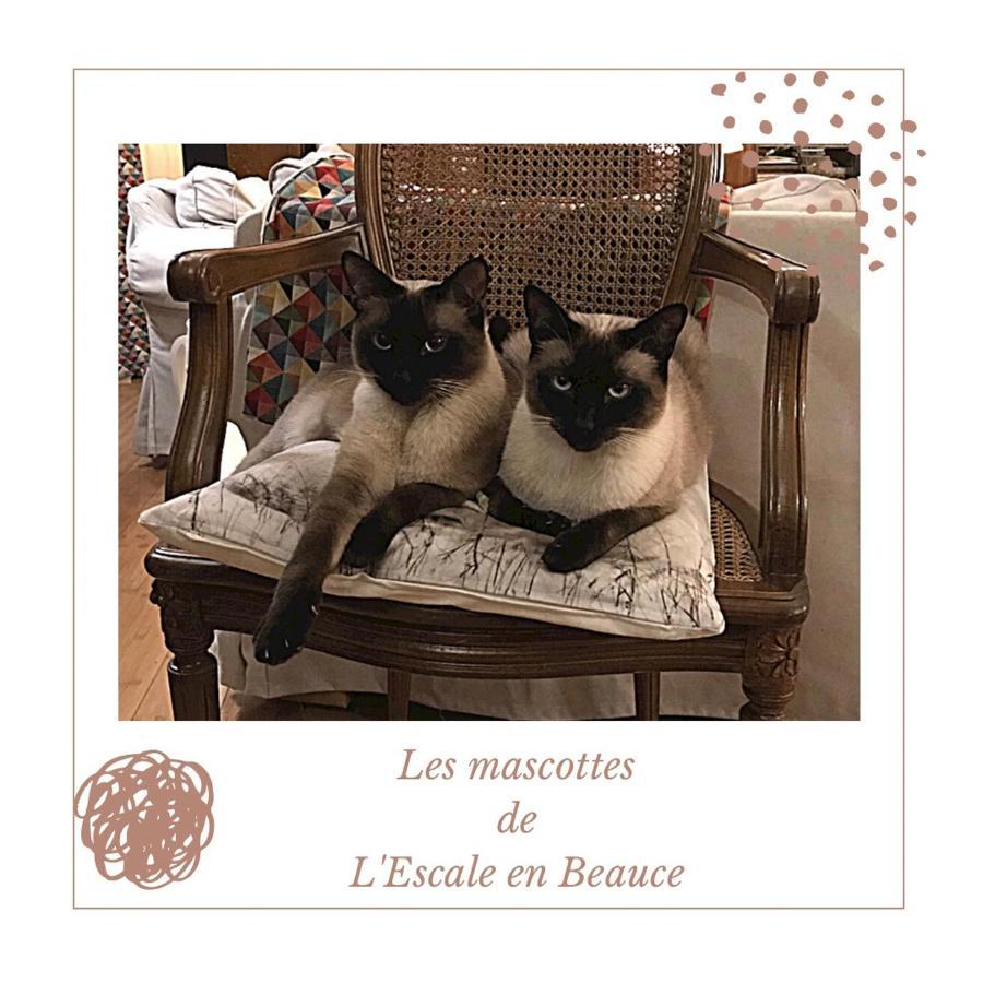Bed and Breakfast L Escale En Beauce Maisons  Exterior foto